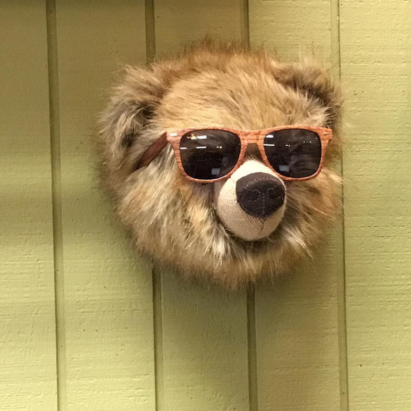 When You Give a Bear Sunglasses...
